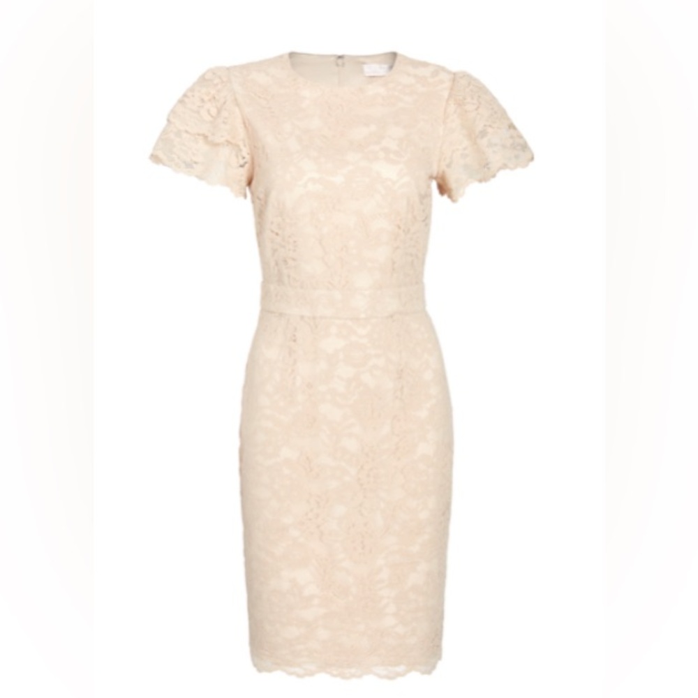 Rachel Parcell Lace Sheath Dress